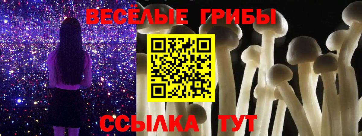 Псилоцибиновые грибы ЛСД  наркотики  Псилоцибиновые грибы Magic Shrooms  Семилуки  Вход с VPN 