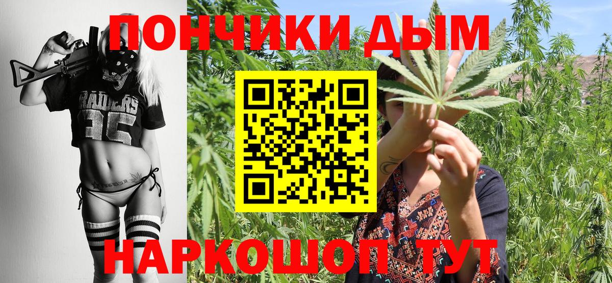 Бошки Шишки семена  Канабис ГИДРОПОН  Семилуки  Вход с VPN 